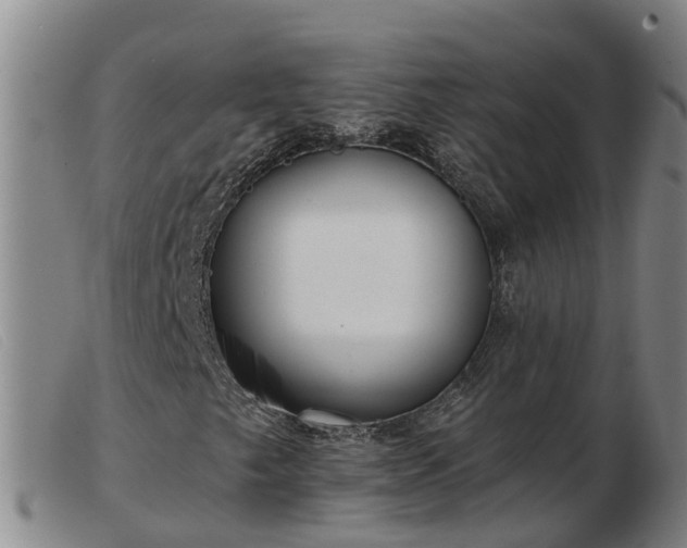 X0000103411249200809191537