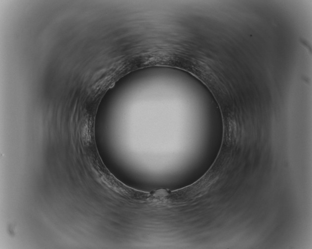 X0000103411250200809191537