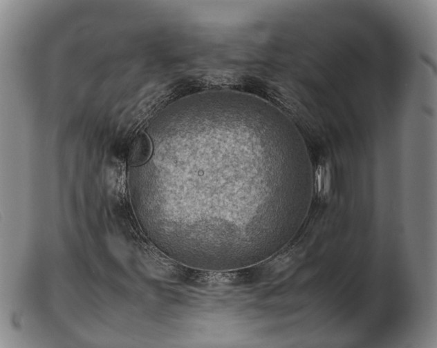 X0000103411251200809191537