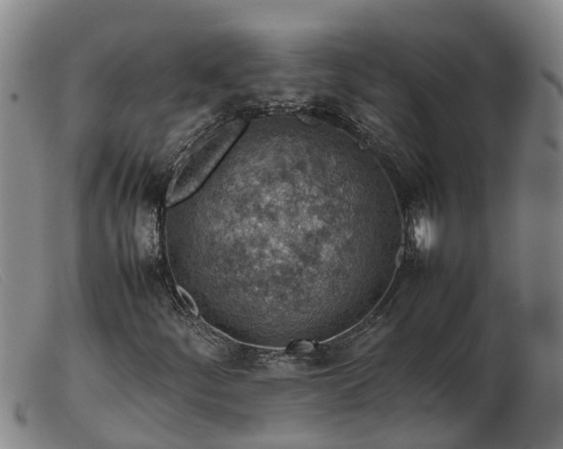 X0000103411252200809191537