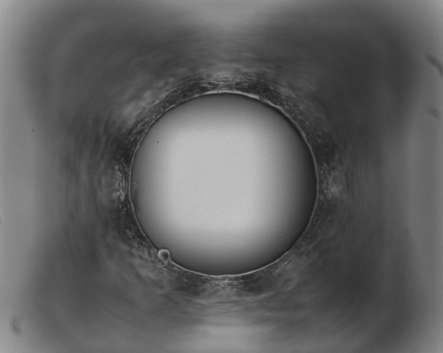 X0000103411253200809191537