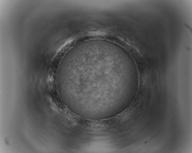 X0000103411254200809191537