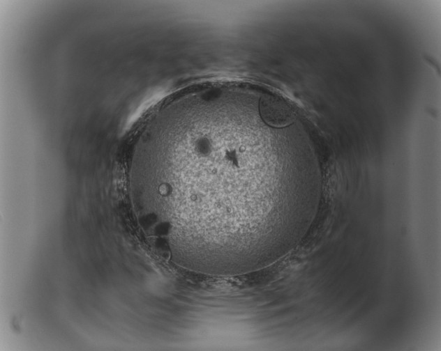 X0000103411255200809191537