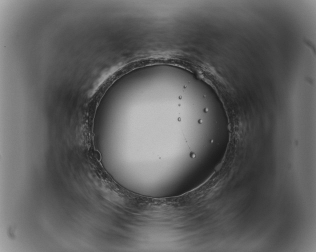 X0000103411256200809191537