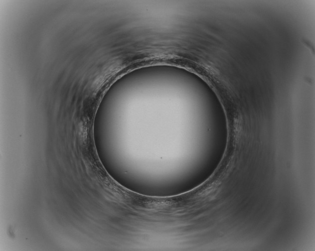 X0000103411257200809191537