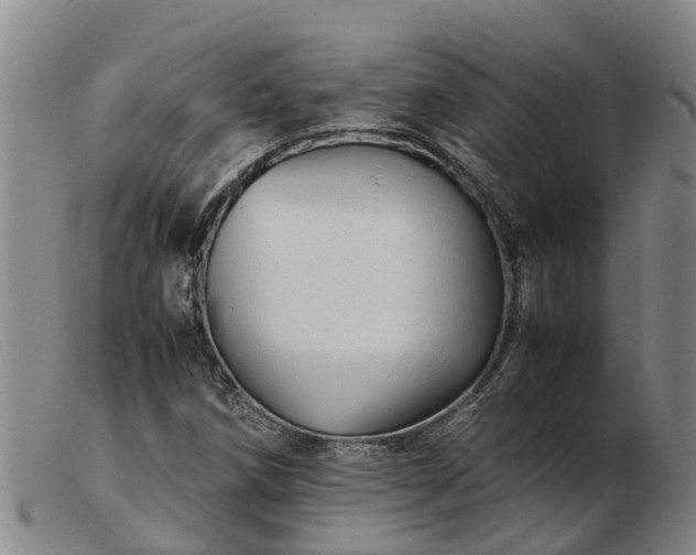 X0000103411258200809191537