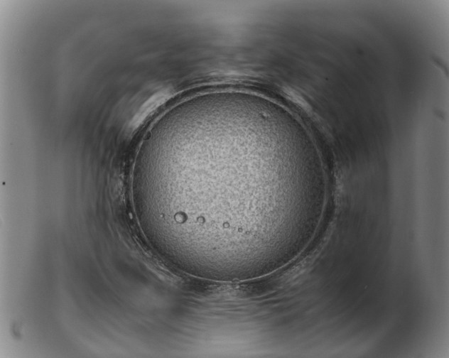 X0000103411259200809191537