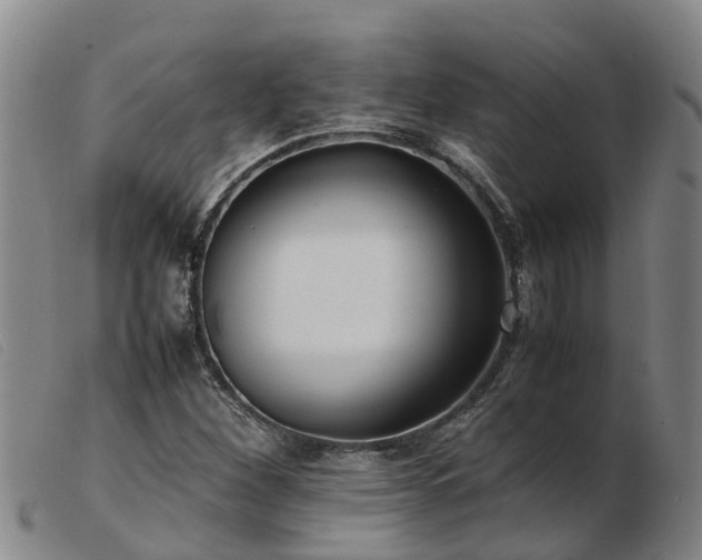 X0000103411260200809191537