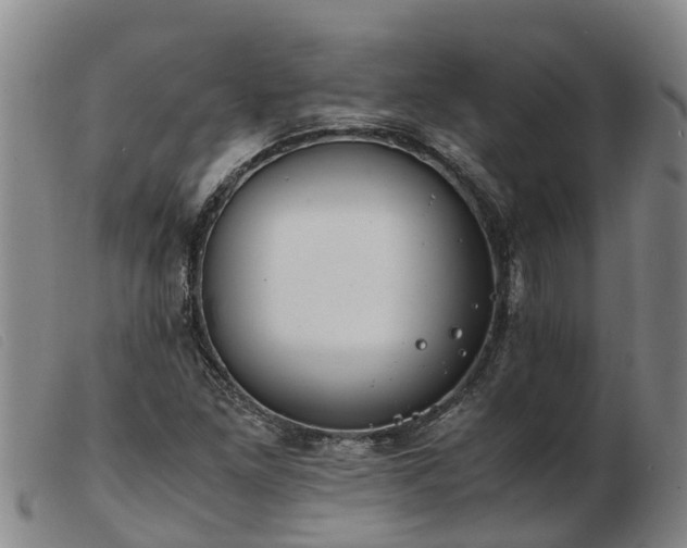 X0000103411261200809191537