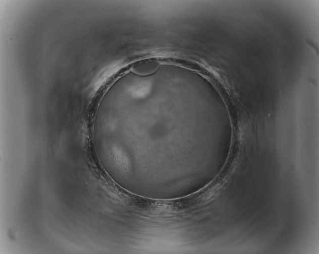 X0000103411263200809191537