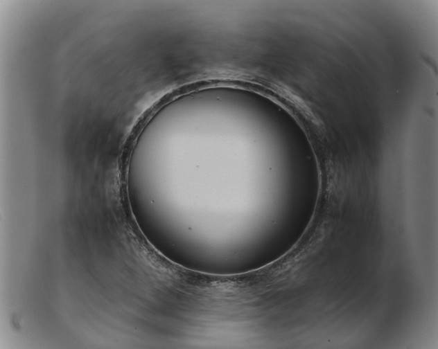 X0000103411264200809191537