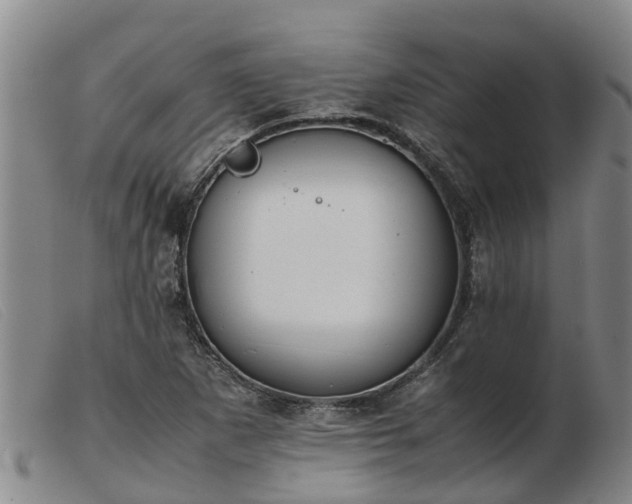 X0000103411265200809191537