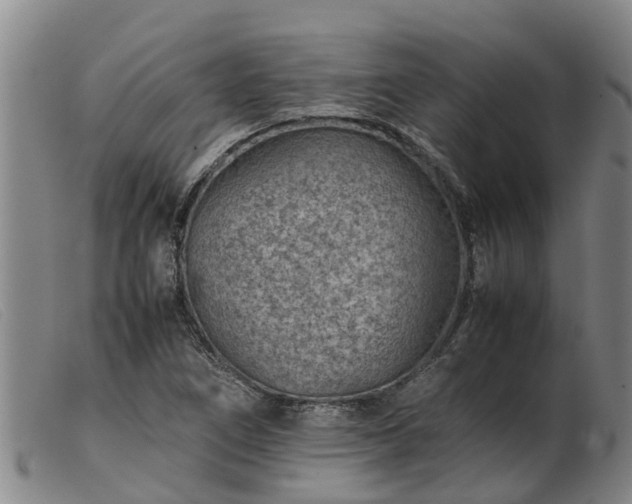 X0000103411266200809191537