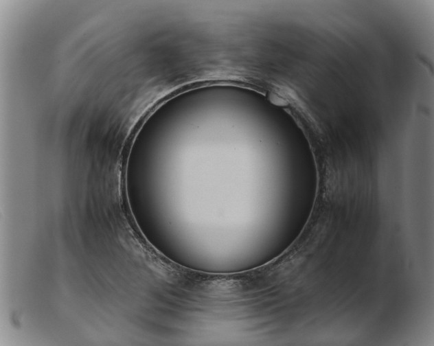 X0000103411268200809191537