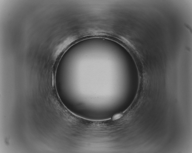 X0000103411269200809191537