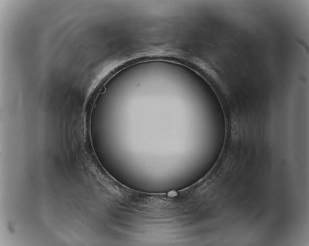 X0000103411270200809191537