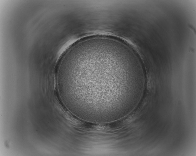 X0000103411271200809191537