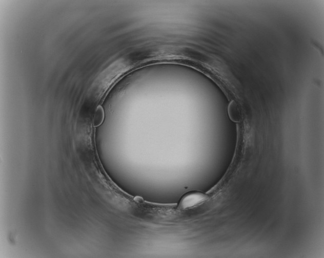 X0000103411273200809191537