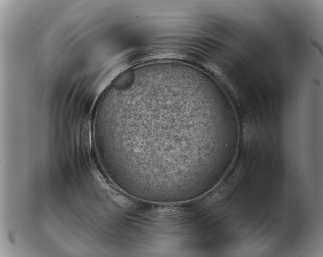 X0000103411274200809191537