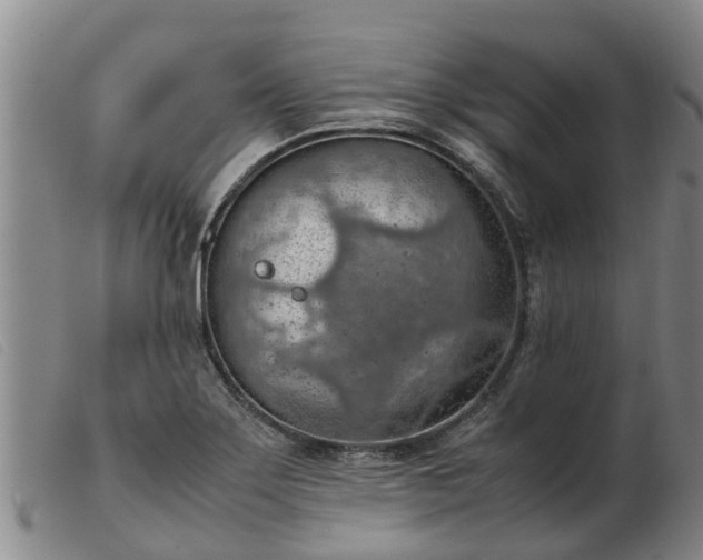 X0000103411275200809191537