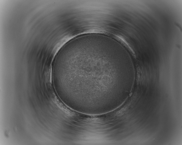 X0000103411276200809191537