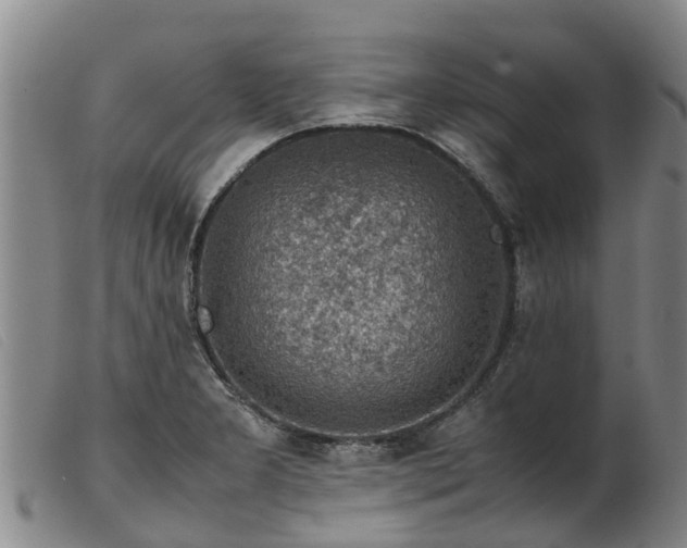 X0000103411277200809191537