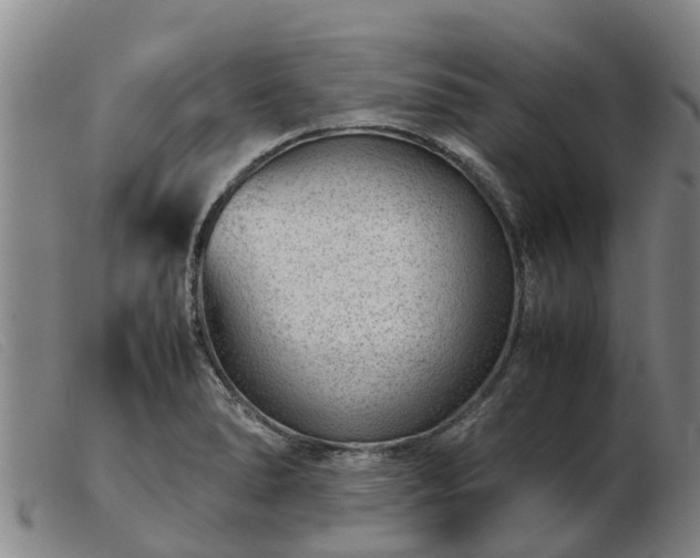 X0000103411278200809191537