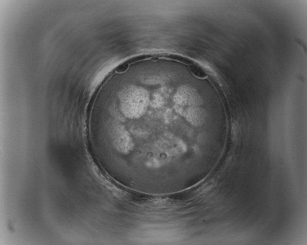 X0000103411279200809191537