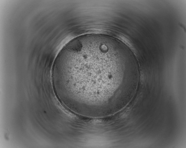 X0000103411283200809191536