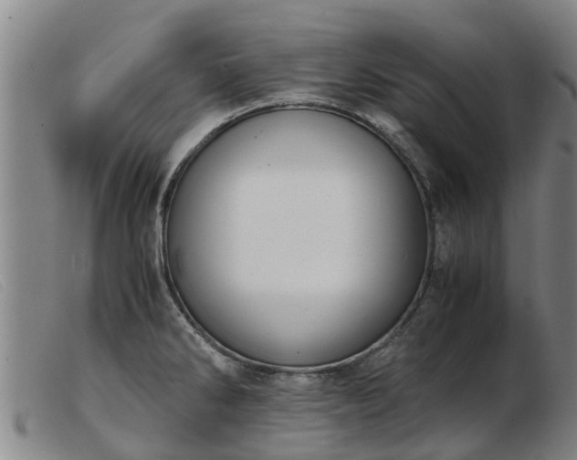 X0000103411286200809191536