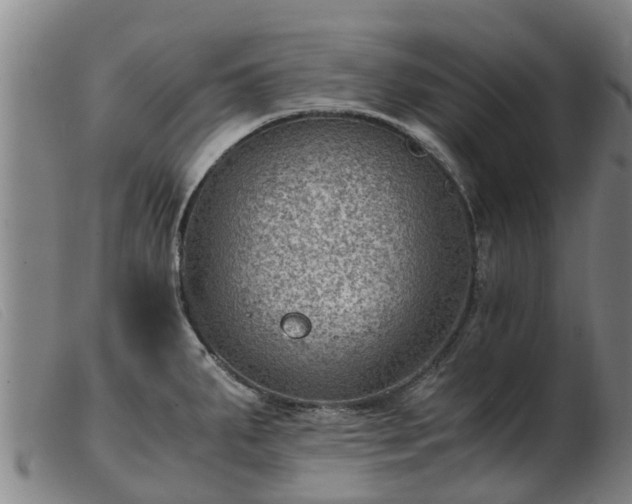 X0000103411287200809191536