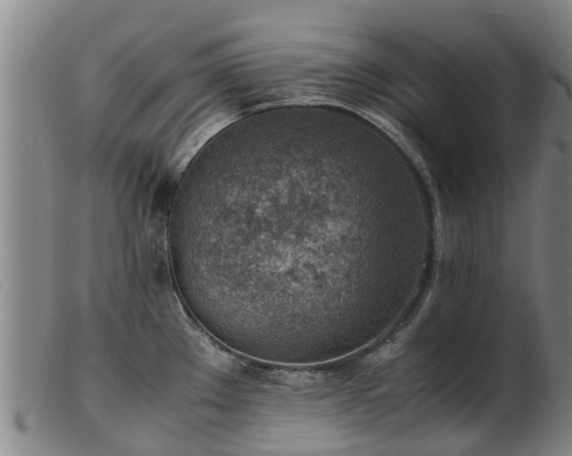 X0000103411289200809191536