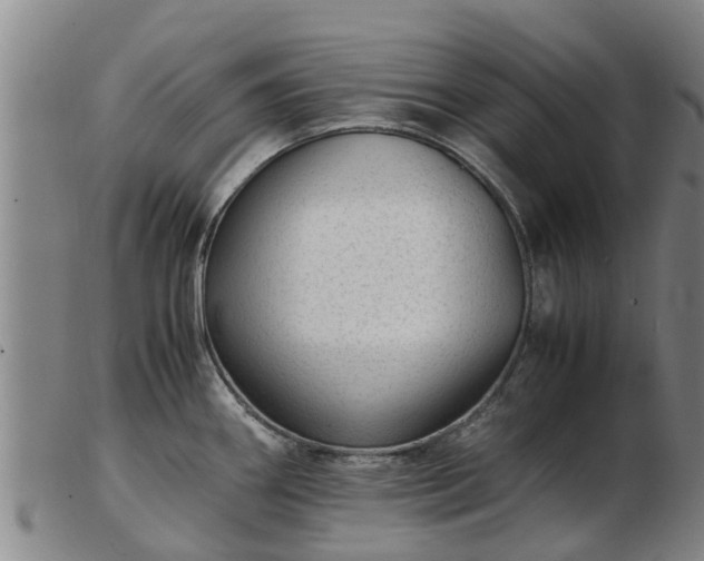 X0000103411290200809191536