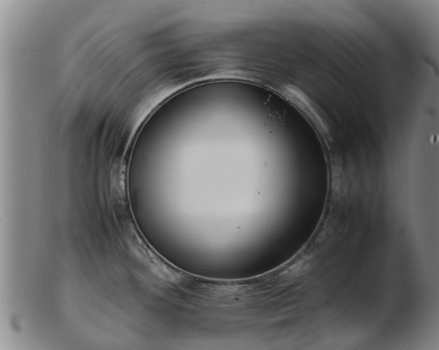 X0000103411292200809191536