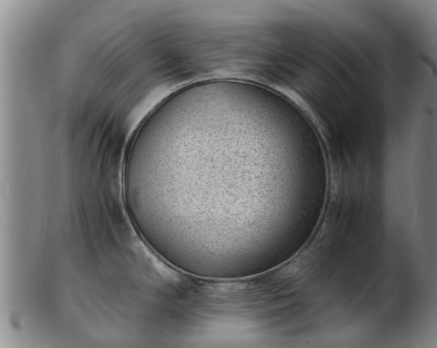 X0000103411294200809191536