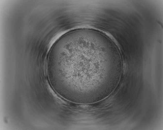 X0000103411295200809191536