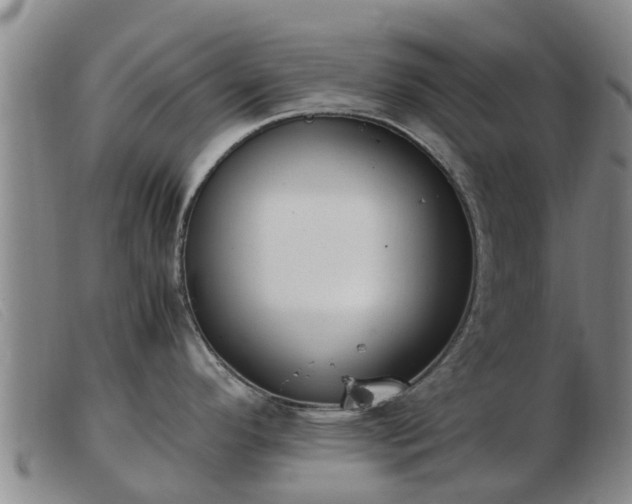 X0000103411296200809191536