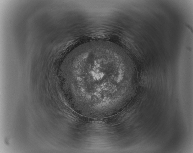 X0000103411297200809191535