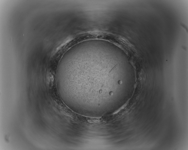 X0000103411302200809191536