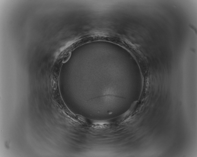 X0000103411303200809191536