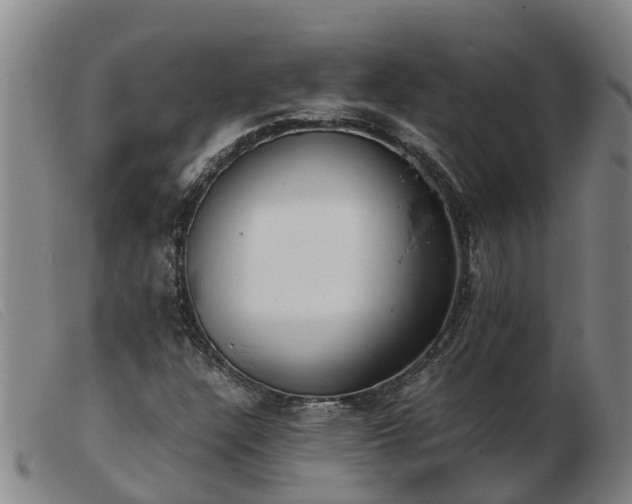 X0000103411304200809191536