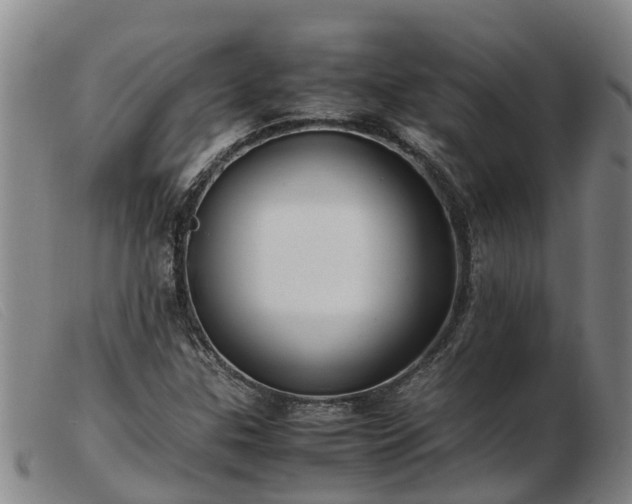 X0000103411307200809191536