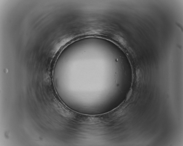 X0000103411308200809191536