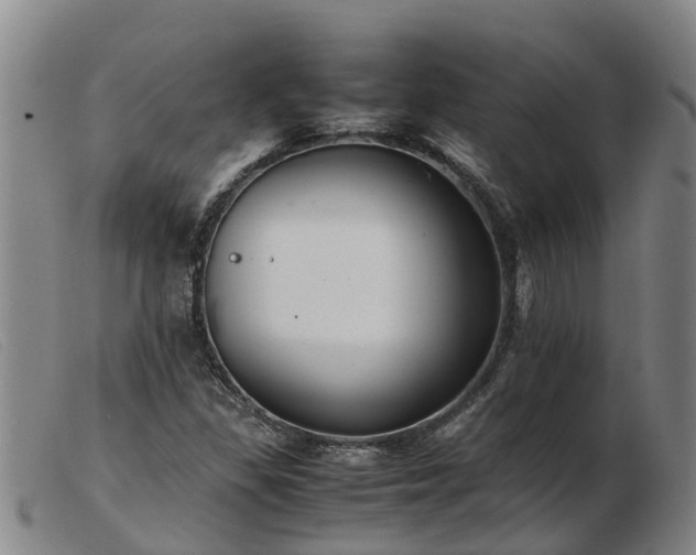 X0000103411309200809191536