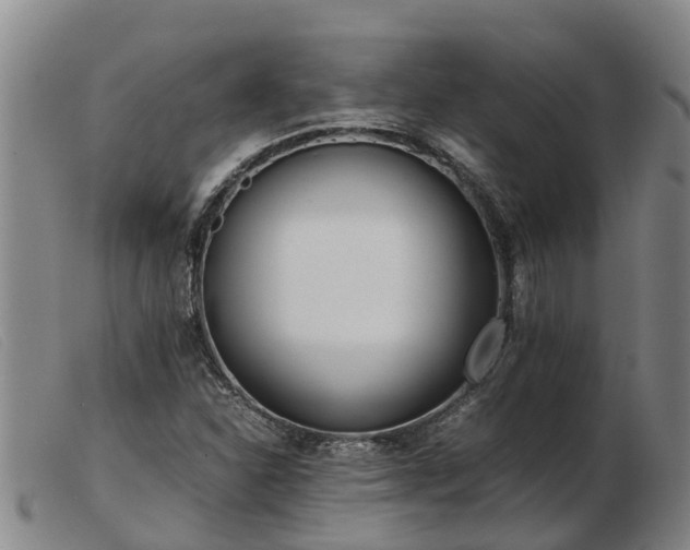 X0000103411310200809191536