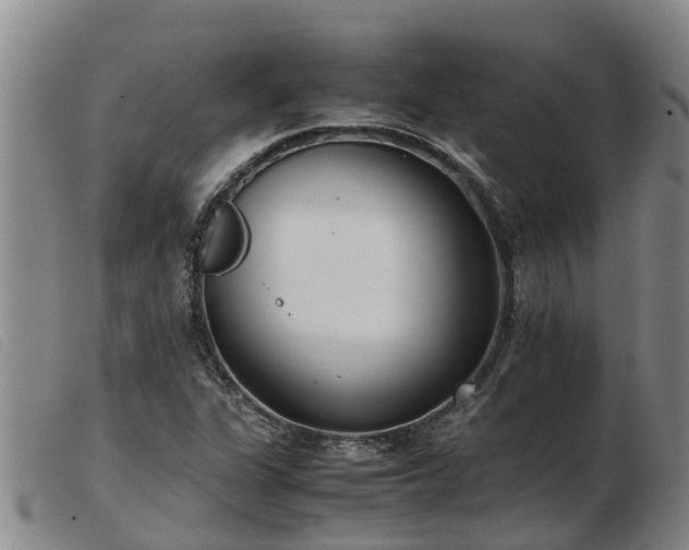 X0000103411311200809191536