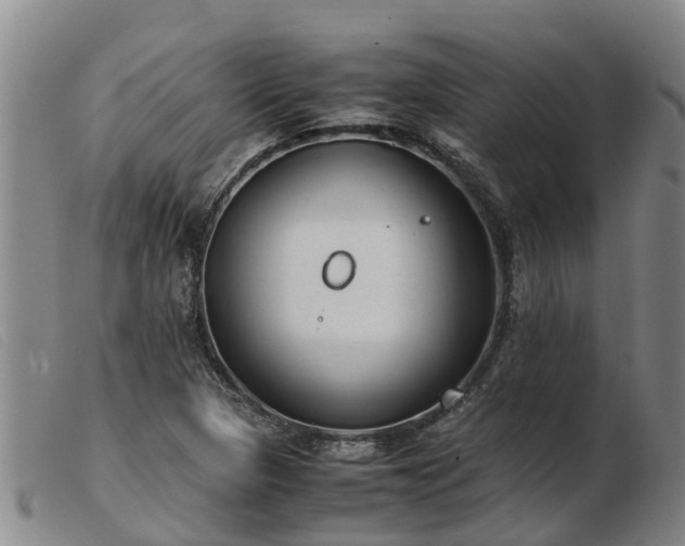 X0000103411313200809191536