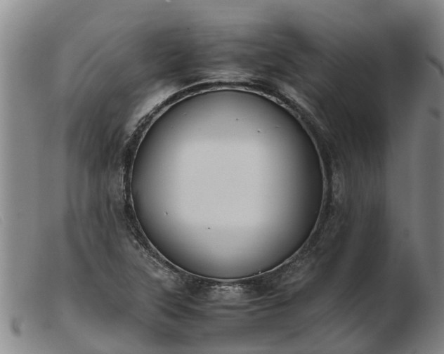 X0000103411315200809191536