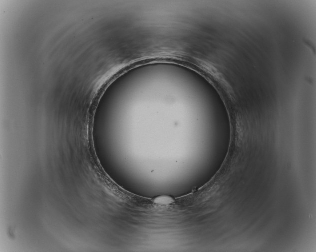 X0000103411316200809191536