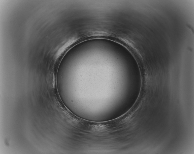 X0000103411317200809191536